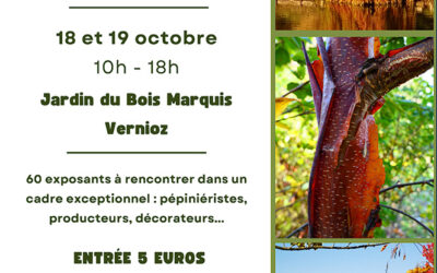 Association les Amis du Bois Marquis : 6ème Fête des Plantes