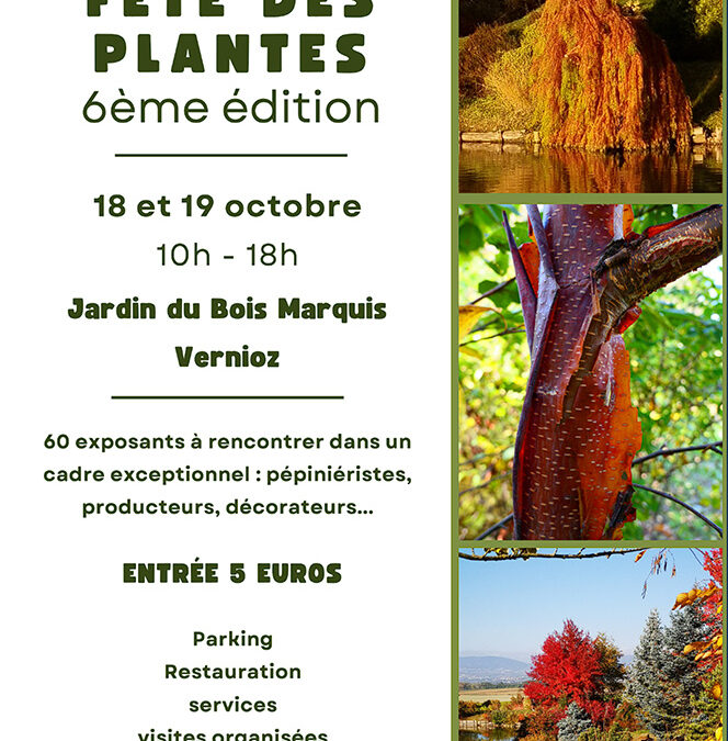 Association les Amis du Bois Marquis : 6ème Fête des Plantes