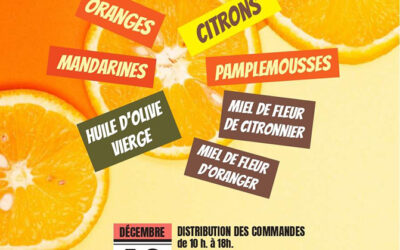 Association Kiwi Organisation : Opération Agrumes 2025