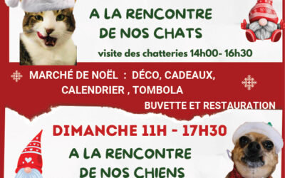 Fête de Noël au refuge de Gerbey