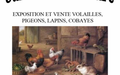 Salon de l&rsquo;Aviculture
