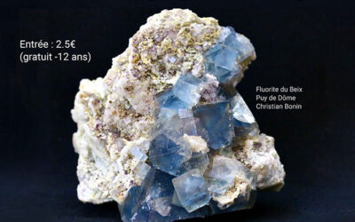 46ème Bourse Minéraux et Fossiles de Guilherand-Granges