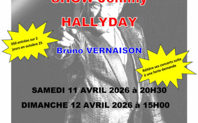 Show Johnny Hallyday