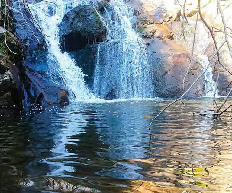 Regards en images et mots