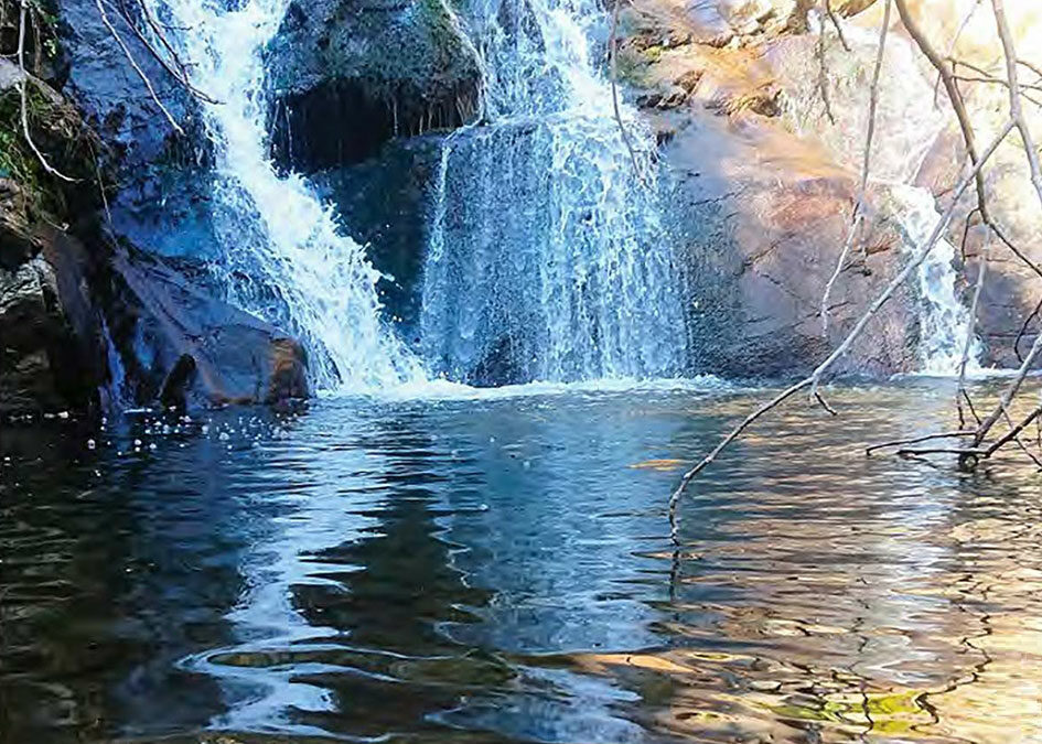 Regards en images et mots