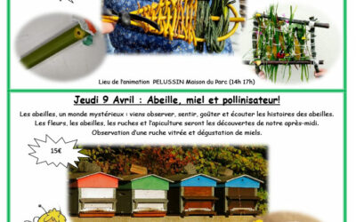 Nature en Mont Pilat : Enfant et Nature