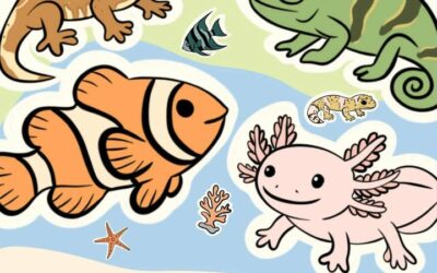 Bourse aux reptiles et aux poissons