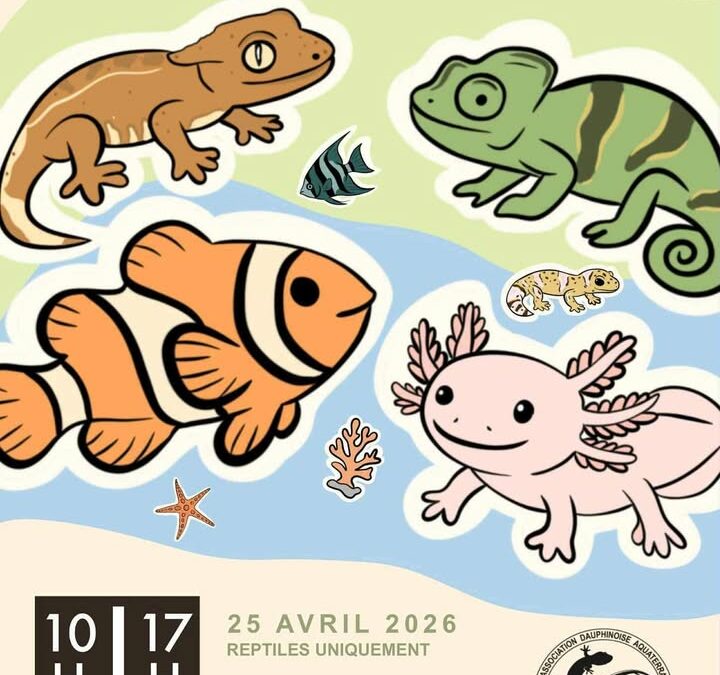 Bourse aux reptiles et aux poissons