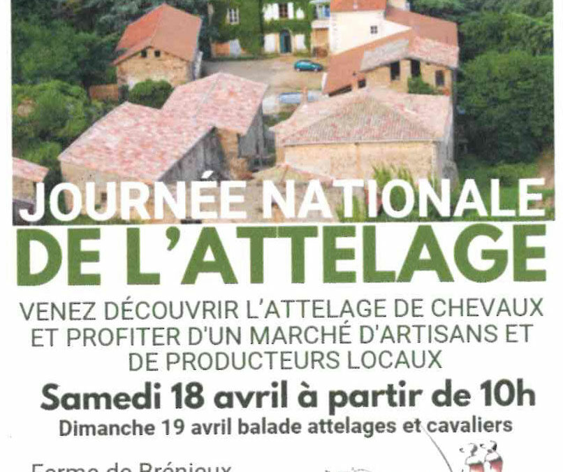Journées nationales de l&rsquo;attelage