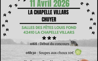 Concours de chiens de pieds