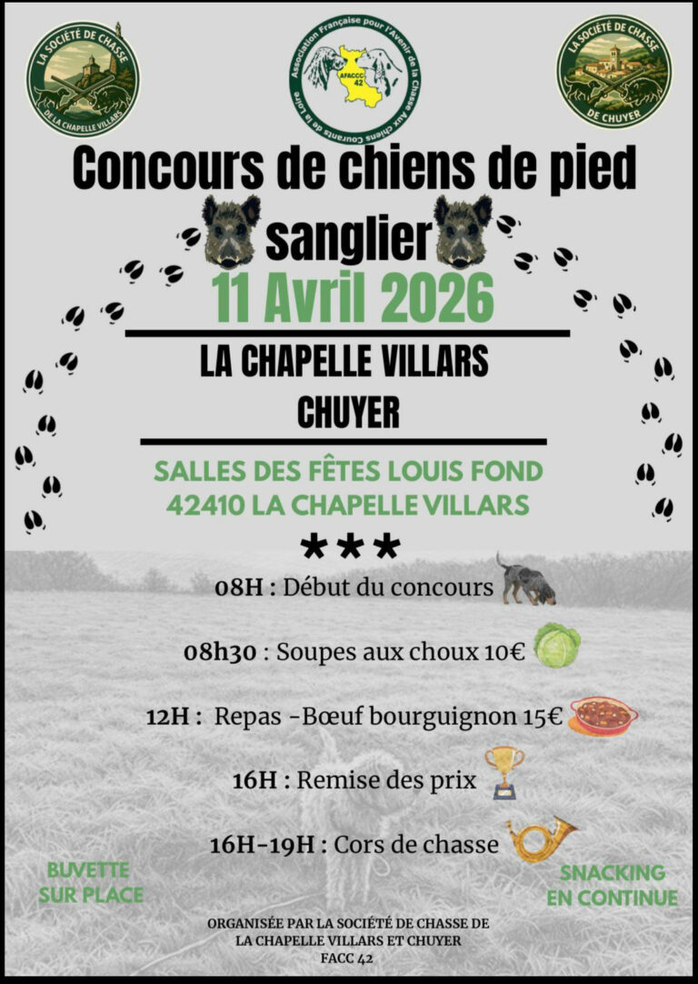 Concours de chiens de pieds