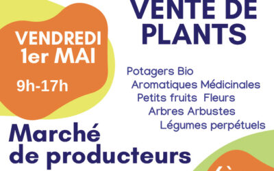 6ème Vente de plants et marché de producteurs