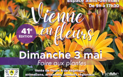 41ème Vienne en Fleurs