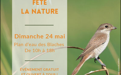 Saint-Maurice fête la nature
