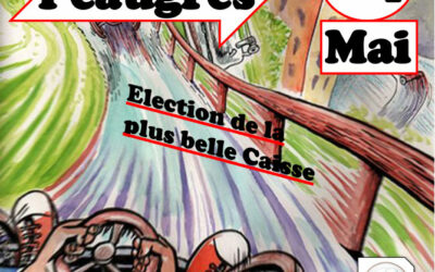 Course de caisses à savon amateur