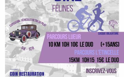 1er Run and Bike Félines