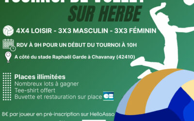 23ème Tournoi de volley sur herbe