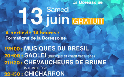 Les Musicales du Rhône