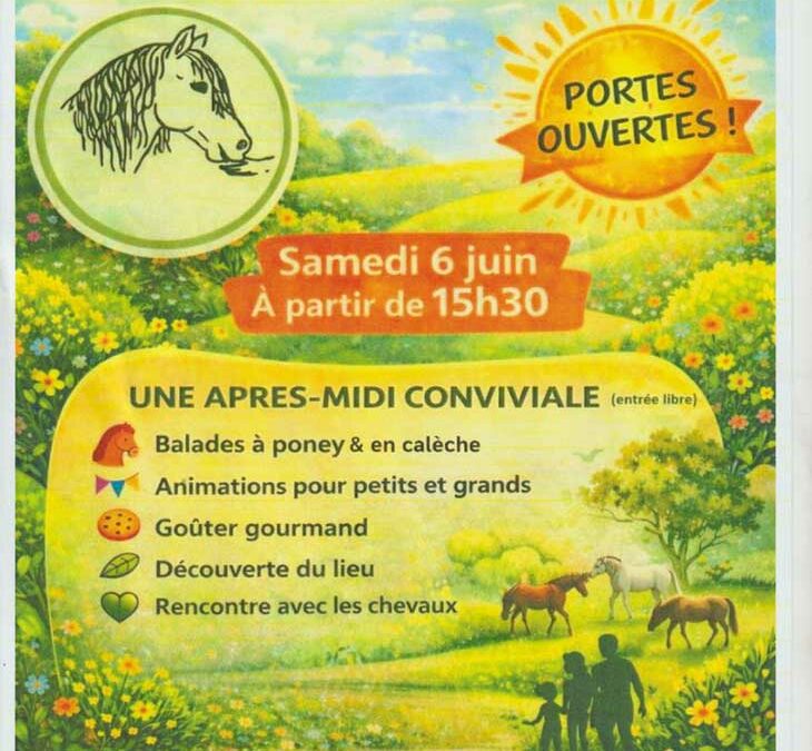 Refuge pour équidés maltraités Le Pré des Rois : Portes Ouvertes
