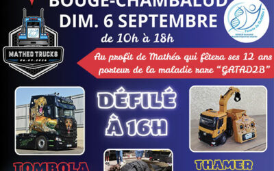 MATHEO TRUCKS