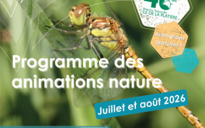 Île de la Platière : animations estivales