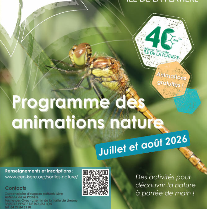 Île de la Platière : animations estivales