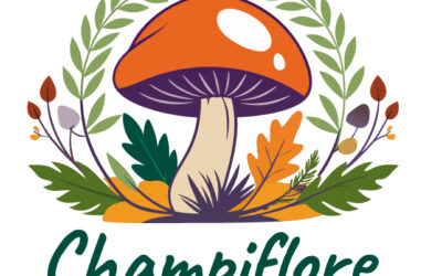 Exposition Mycologique et photos nature au Château