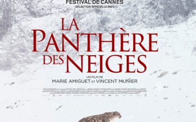 La Panthère des neiges