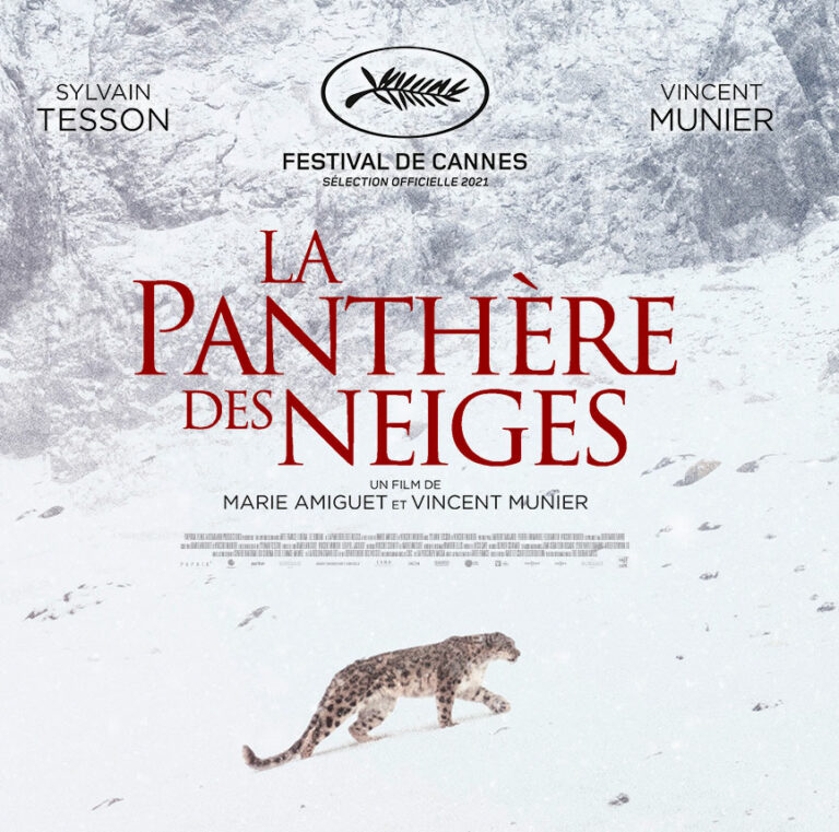 La Panthère des neiges