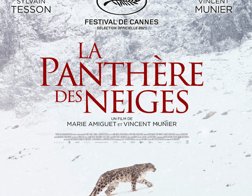 La Panthère des neiges