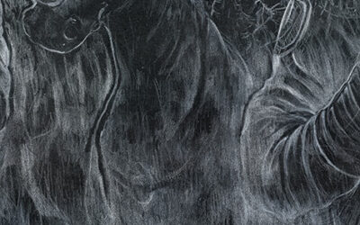 G.A.C. : Quentin Spohn