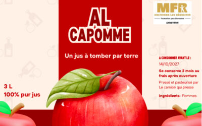 Pressage de jus de pomme