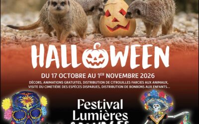 Halloween et Lumières Sauvages au Wow Safari Peaugres