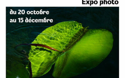 Révélation, l’âme de l’eau